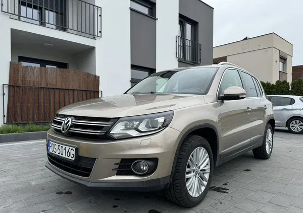 volkswagen tiguan odolanów Volkswagen Tiguan cena 57900 przebieg: 172500, rok produkcji 2013 z Odolanów